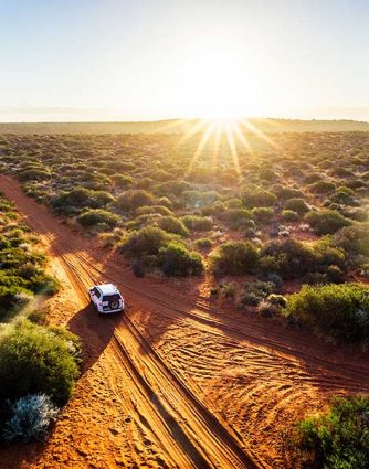 TeleScribes ensure rural locations and hard to staff areas are covered.